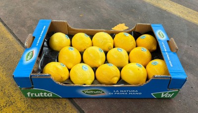 Foto Limoni Defogliati Calibro 1/2 Origine Italia Marchio Valfrutta 1