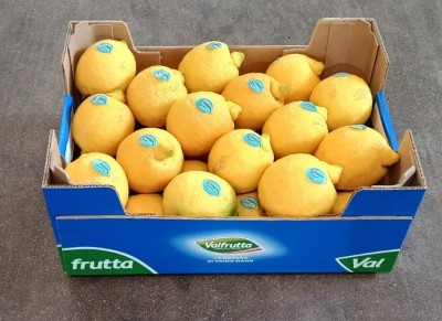 Foto Limoni Primo Fiore Calibro 3/4 Origine Italia Marchio Valfrutta           1
