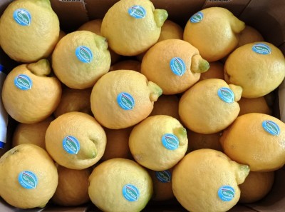 Foto Limoni Primo Fiore Calibro 3/4 Origine Italia Marchio Valfrutta           2