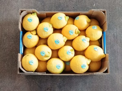 Foto Limoni Primo Fiore Calibro 3/4 Origine Italia Marchio Valfrutta           3