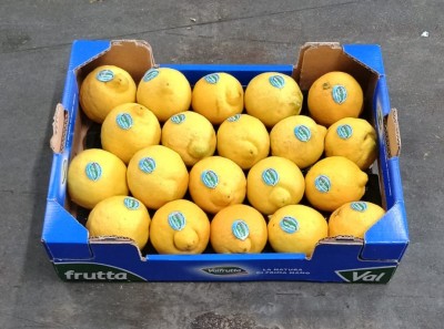 Foto Limoni Defogliati Varietà Primo Fiore Calibro 3 Origine Italia Marchio Valfrutta  1