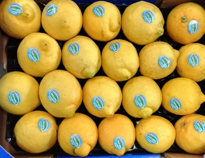 Foto Limoni Defogliati Varietà Primo Fiore Calibro 3 Origine Italia Marchio Valfrutta  2