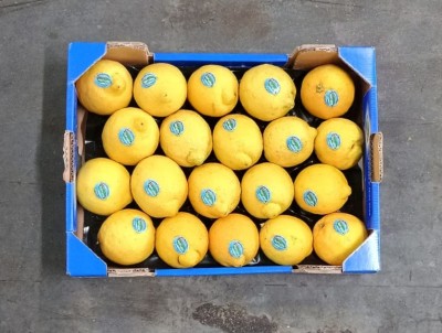 Foto Limoni Defogliati Varietà Primo Fiore Calibro 3 Origine Italia Marchio Valfrutta  3