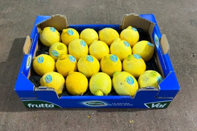 Foto Limoni Origine Italia Marchio Valfrutta 1