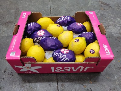 Foto Limoni Eureka Calibro 30 Origine Spagna Marchio Isavir 1