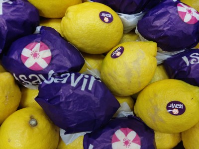 Foto Limoni Eureka Calibro 30 Origine Spagna Marchio Isavir 2