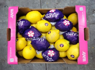 Foto Limoni Eureka Calibro 30 Origine Spagna Marchio Isavir 3