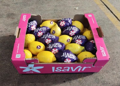 Foto Limoni Eureka Calibro 40 Origine Spagna Marchio Isavir           1