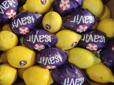 Foto Limoni Eureka Calibro 40 Origine Spagna Marchio Isavir           2