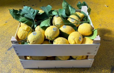Foto Limoni Affogliati Origine Italia Marchio  I.De Luca 1