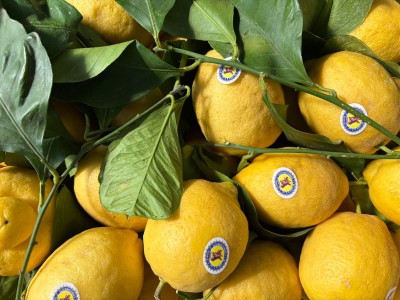 Foto Limoni Affogliati Origine Italia Marchio  I.De Luca 2