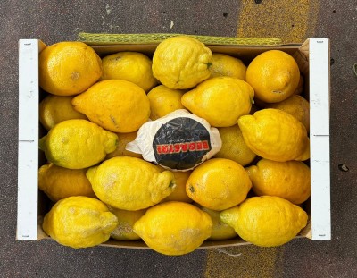 Foto Limoni Verna Origine Spagna Marchio Frutas 3
