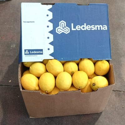 Foto Limoni Varietà Eureka Confezione Da 15 Kg Origine Argentina Marchio Ledesma  1