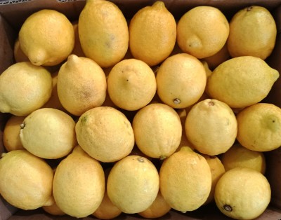 Foto Limoni Varietà Eureka Confezione Da 15 Kg Origine Argentina Marchio Ledesma  2
