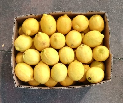 Foto Limoni Varietà Eureka Confezione Da 15 Kg Origine Argentina Marchio Ledesma  3