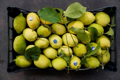 Foto Limoni Varietà Foglia Calibro 2/3 Origine Italia Marchio Hilias 1