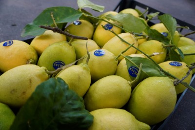 Foto Limoni Varietà Foglia Calibro 2/3 Origine Italia Marchio Hilias 3