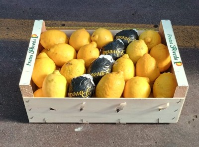 Foto Limoni Varietà Primo Fiore Calibro 3/46 Origine Spagna Marchio Poveda  1
