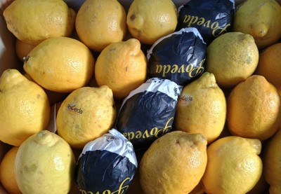 Foto Limoni Varietà Primo Fiore Calibro 3/46 Origine Spagna Marchio Poveda  2