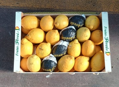 Foto Limoni Varietà Primo Fiore Calibro 3/46 Origine Spagna Marchio Poveda  3