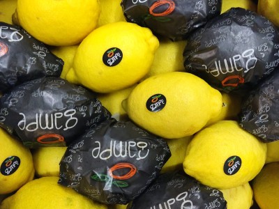 Foto Limoni Varietà Primo Fiore Calibro 3/30 Origine Spagna Marchio Gambe 2