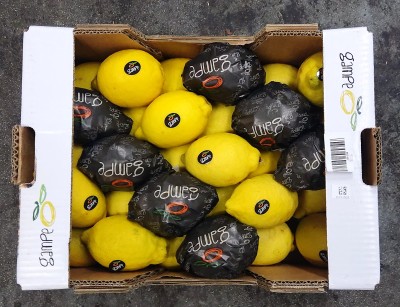 Foto Limoni Varietà Primo Fiore Calibro 3/30 Origine Spagna Marchio Gambe 3