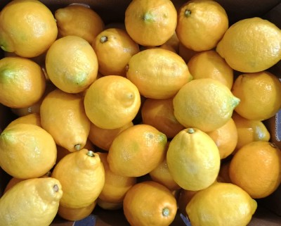 Foto Limoni Varietà Genova Calibro 100 Origine Chile Marchio El Parque  2