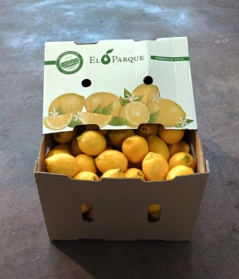 Foto Limoni Varietà Genova Calibro 75 Origine Chile Marchio El Parque  1