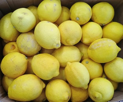 Foto Limoni Varietà Eureka Calibro 75 Origine Sud Africa Marchio 2Valley 2