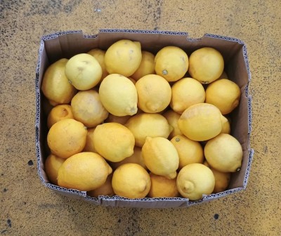 Foto Limoni Varietà Eureka Calibro 75 Origine Sud Africa Marchio 2Valley 3