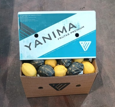 Foto Limoni Varietà Lemons Calibro 64 Origine Sud Africa Marchio Yanima 1