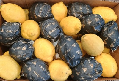 Foto Limoni Varietà Lemons Calibro 64 Origine Sud Africa Marchio Yanima 2
