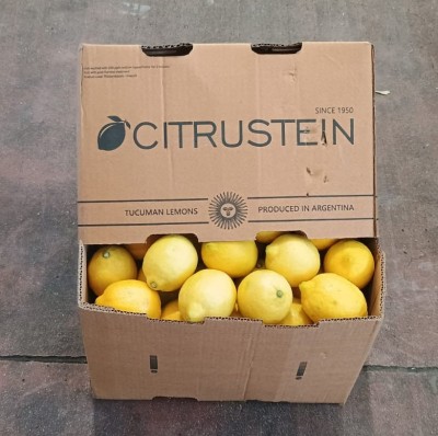 Foto Limoni Varietò Lisboa Calibro 88 Origine Argentina Marchio Citrustein  1