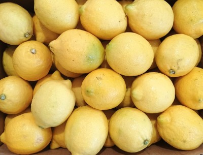 Foto Limoni Varietò Lisboa Calibro 88 Origine Argentina Marchio Citrustein  2