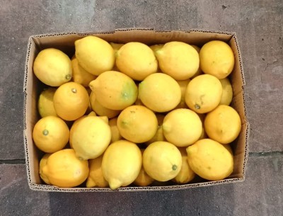 Foto Limoni Varietò Lisboa Calibro 88 Origine Argentina Marchio Citrustein  3