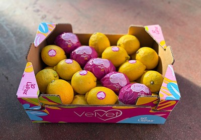 Foto Limoni Defogliati Calibro 3 Origine Spagna Marchio Velvet 1