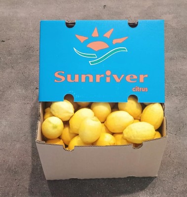 Foto Limoni Varietà Eureka Calibro 88 Origine Sud Africa Marchio Sunriver 1