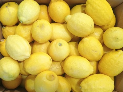 Foto Limoni Varietà Eureka Calibro 75 Origine Sud Africa Marchio Syn river  2