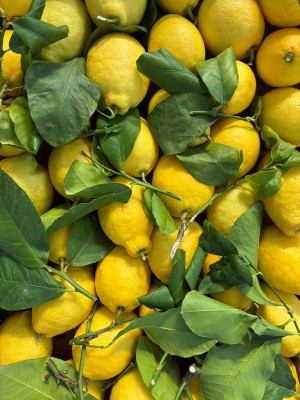 Foto Limoni Affogliati Calibro 2/3 Origine Italia Marchio Hilias 2