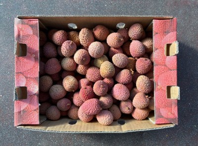 Foto Litchies Origine Madagascar Marchio Sweety 3