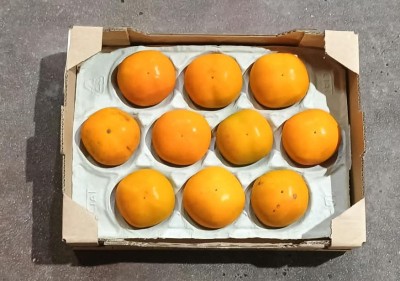 Foto Cachi Mela Varietà Sharon FuYu Calibro 10 Origine Spagna Marchio Horticola 3