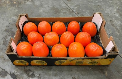 Foto Cachi Mela Varietà Rojo Brillante Calibro 14 Origine Spagna Marchio Alegra 1