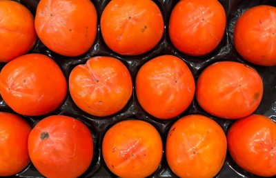 Foto Cachi Mela Varietà Rojo Brillante Calibro 14 Origine Spagna Marchio Alegra 2