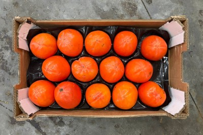 Foto Cachi Mela Varietà Rojo Brillante Calibro 14 Origine Spagna Marchio Alegra 3