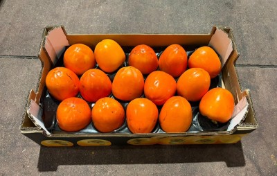 Foto Cachi Mela Varietà Rojo Brillante Calibro 15 Origine Spagna Marchio Sanchez    1