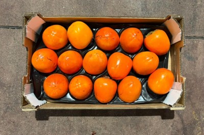 Foto Cachi Mela Varietà Rojo Brillante Calibro 15 Origine Spagna Marchio Sanchez    3