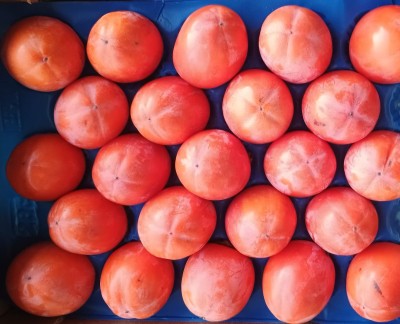 Foto Cachi Mela Varietà Rojo Brillante Calibro 23 Origine Italia Marchio Vignola         2