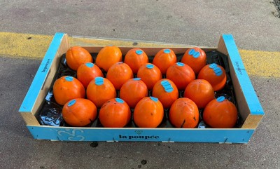 Foto Cachi Mela Calibro 20 Origine Spagna Marchio La Poupee 1