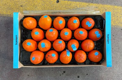 Foto Cachi Mela Calibro 20 Origine Spagna Marchio La Poupee 3