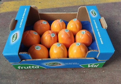 Foto Cachi Mela Varietà Rojo Brillante  Calibro 10 Origine Italia Marchio Valfrutta 1